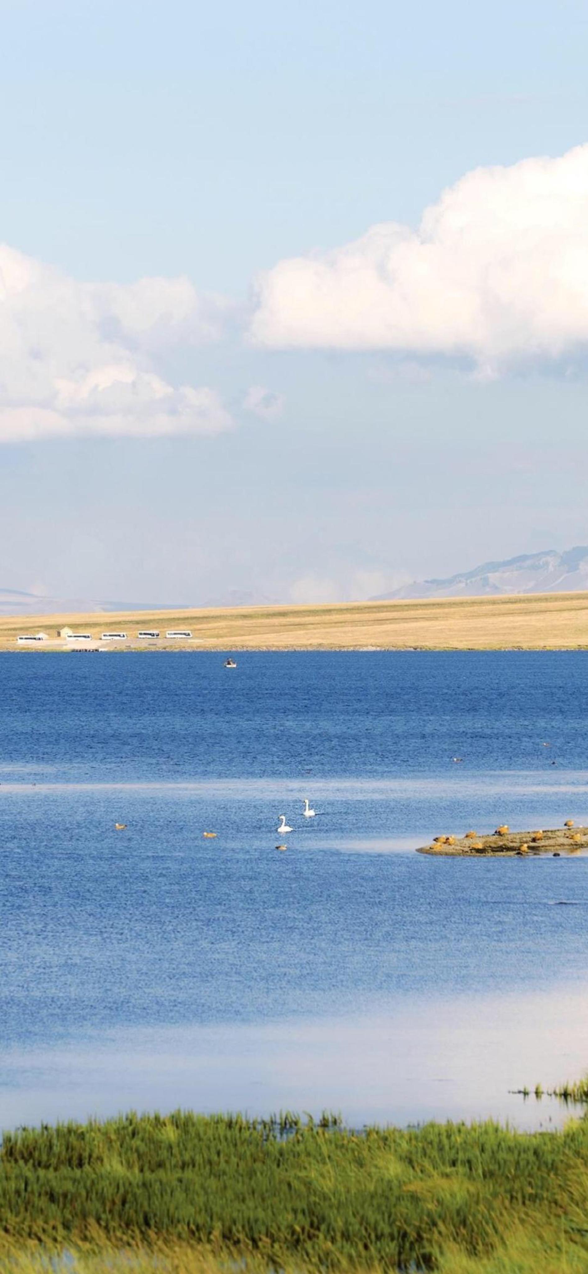 有哪些清凉如水的画作?