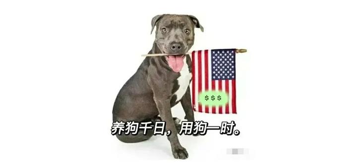 殖人润物小写真之三——恨国,并不会让你们更“伟大” - 知乎