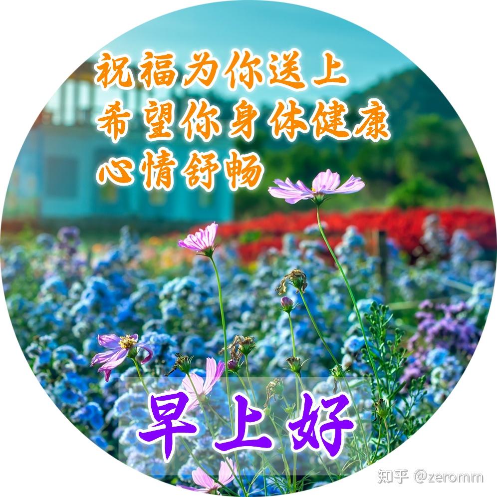 发朋友圈最美好的早安祝福短信,晨安吉祥,祝你心情愉快! - 知乎