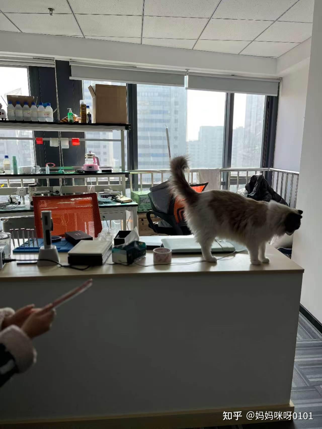 诚信的折叠手机维修店