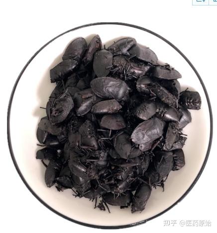 表面棕褐色或棕黑色,略有光泽.