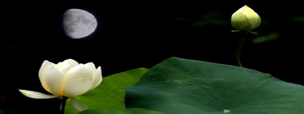 世界诗歌文学情诗专栏荡漾的村庄月光一点点涂抹蓝晕