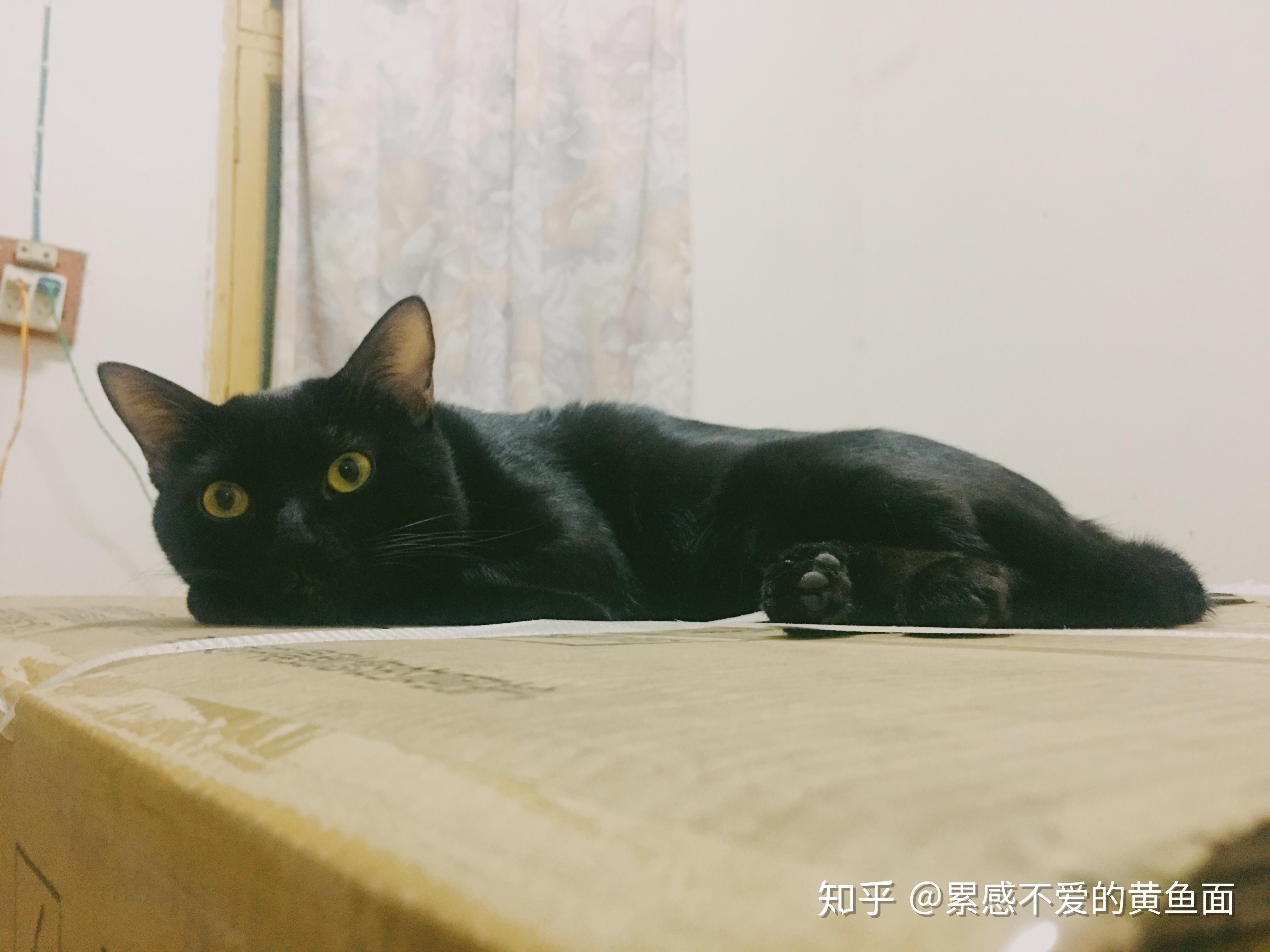 v2-3eda6317f519b67375ce672f56a486e3_r.jpg