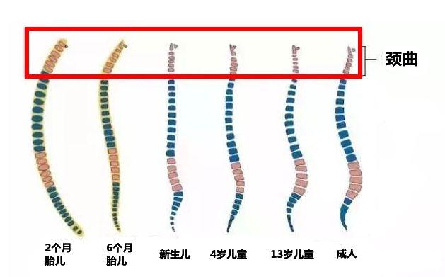 娃多大能用枕头这3种枕头千万别乱用可能伤颈椎