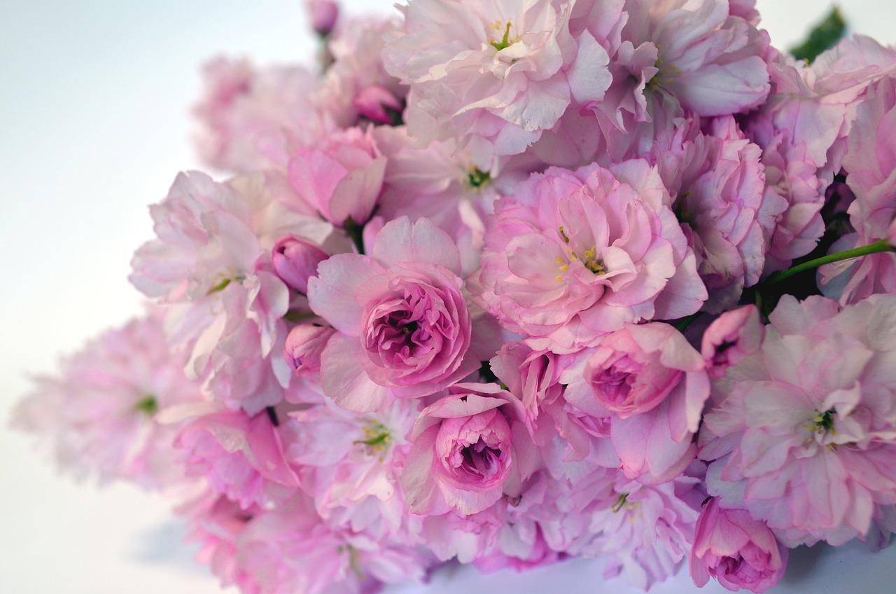 母亲节特辑:妈妈的温暖手记