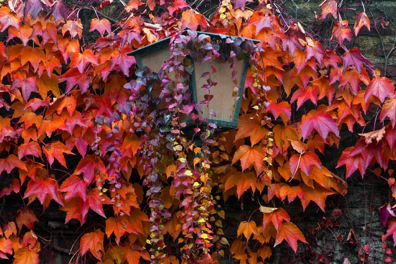 路灯用多少灯合适