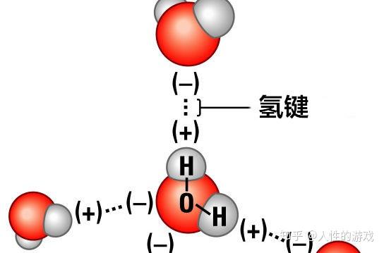 新型冠状病毒12氢键的本质静电吸引作用力