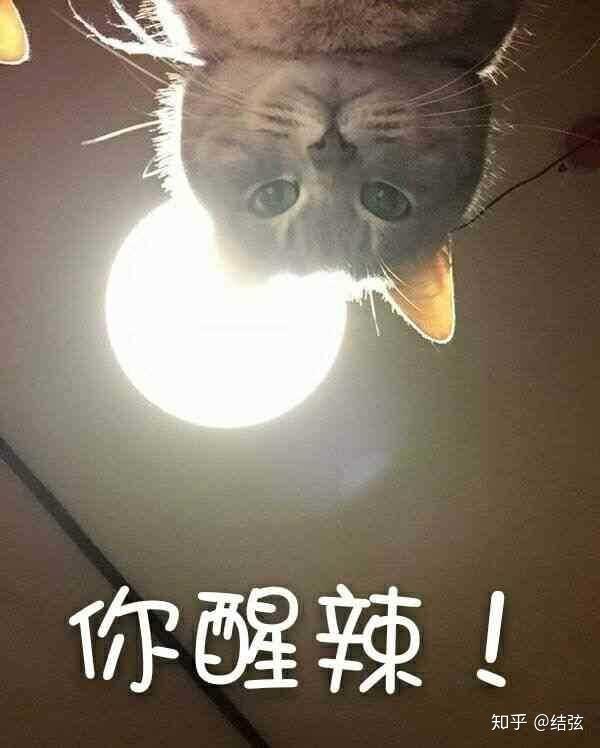 说的就是你,金坷拉且不说"名言"的真实性如何(事实上这些"名言"很多都