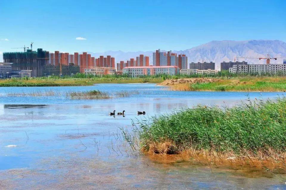 格尔木市面积有多少 v2-3efc4175cae3b9227ea16fdd7cb8a4e4_r.jpg