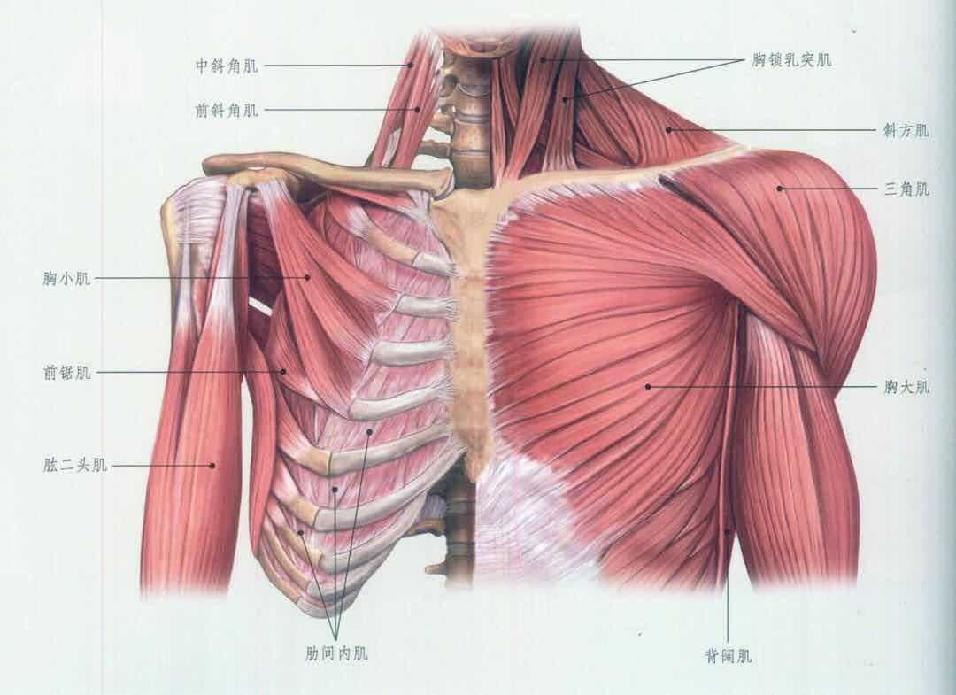 第三节 结核性中耳乳突炎-颞骨和颅底影像学-医学