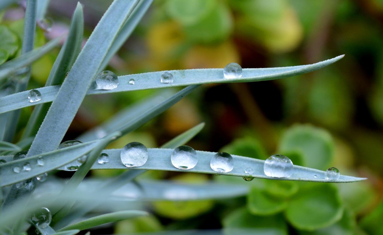 4. 投资价值剖析