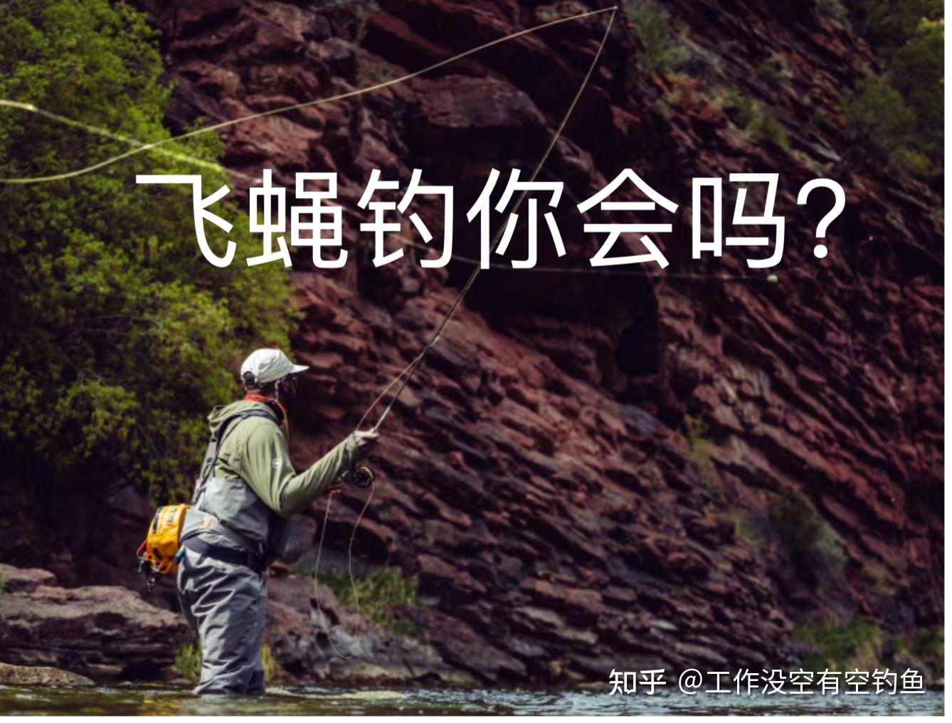 使用飞蝇钩钓鱼的技巧有什么呢? - 知乎
