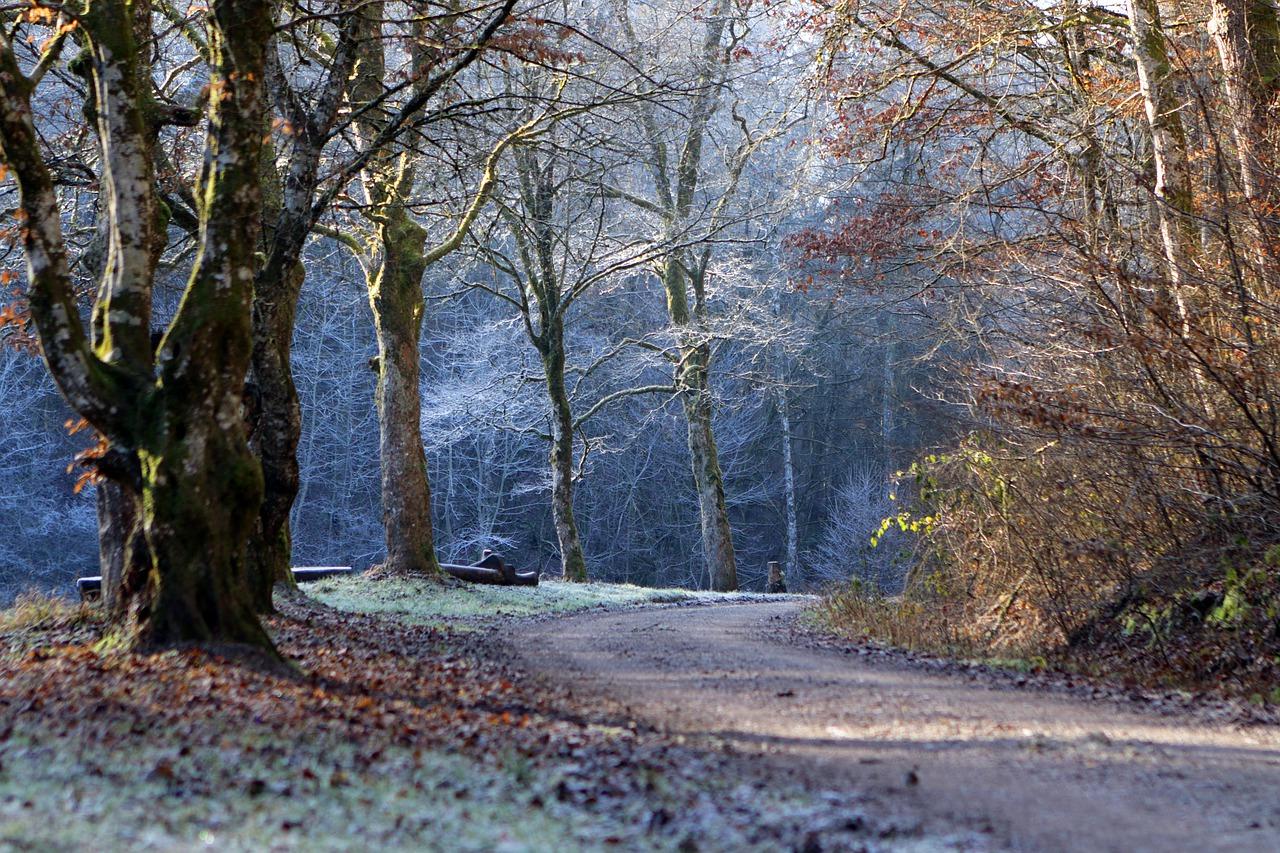 4. 冰箱冷冻点温度