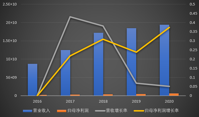 德賽電池2020年財務報表分析