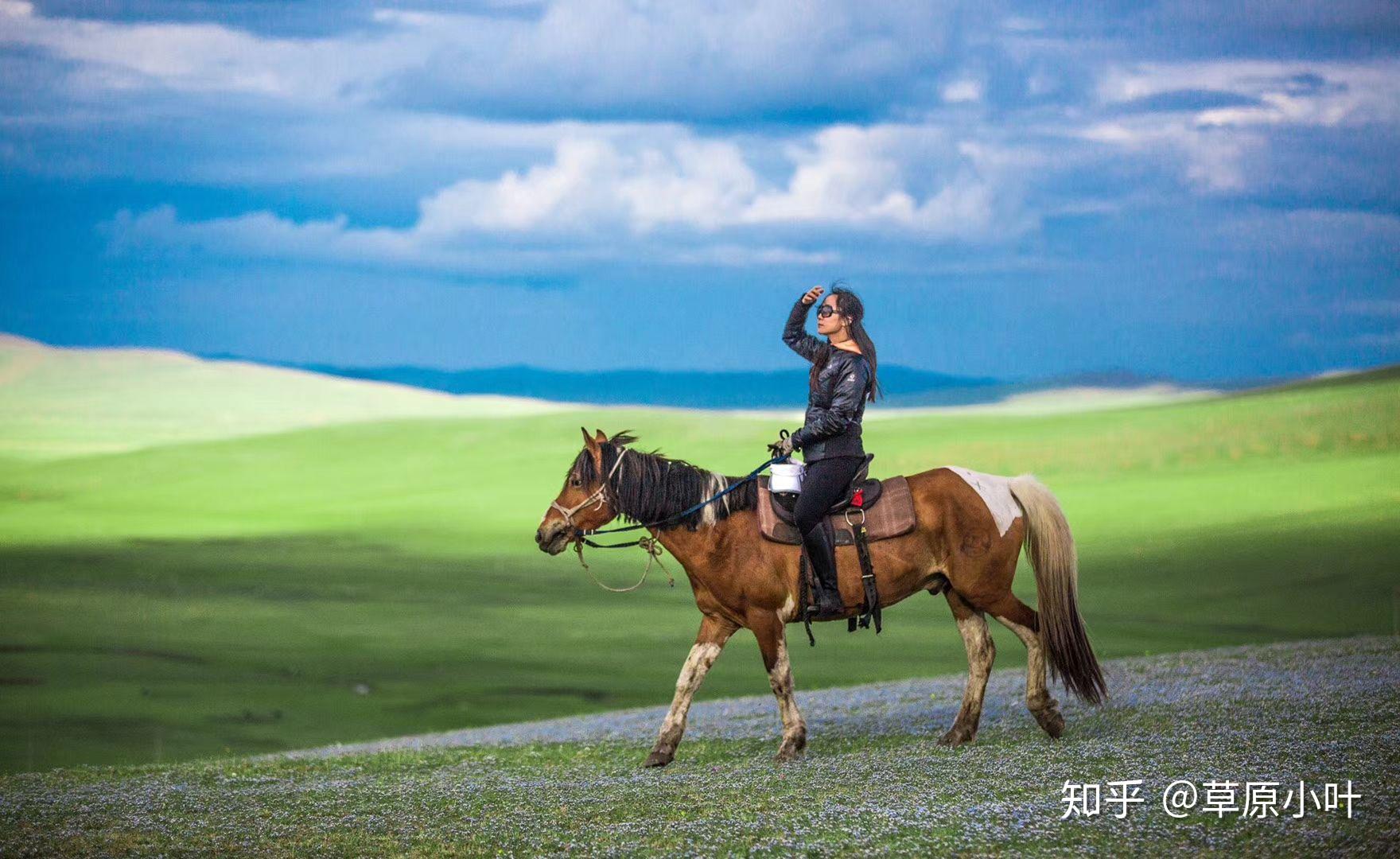 大美草原--骑马。6月17日摄于丰宁坝上草原 - 花粉随手拍 花粉俱乐部