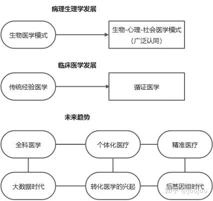 生理学素材图片