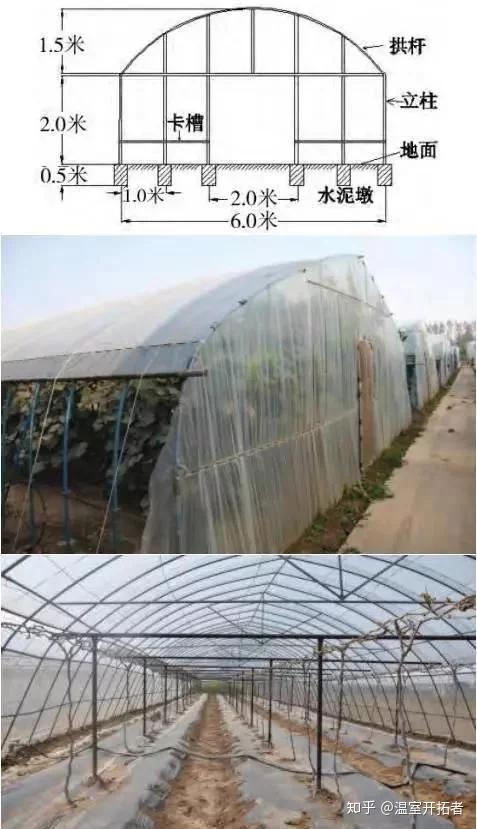 葡萄温室大棚栽培类型介绍记得收藏