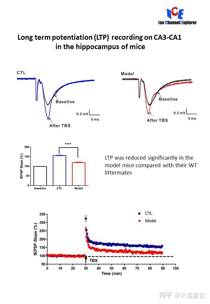 慢性咳嗽與p2x受體研究膜片鉗技術膜片鉗服務膜片鉗技術服務