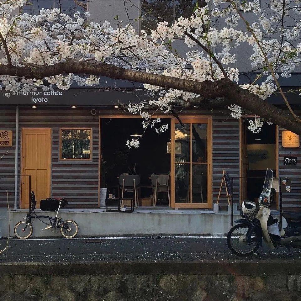 有没有认为比较好看的qq背景图