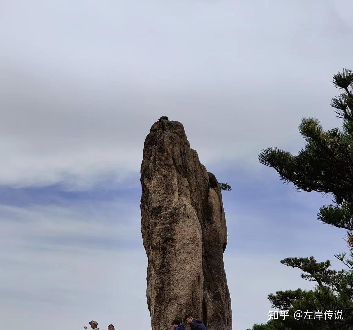 集邮 知乎