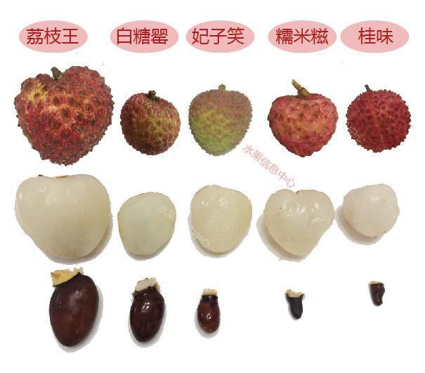 测评时下5种荔枝,谁才是你心目中的王者? - 知乎