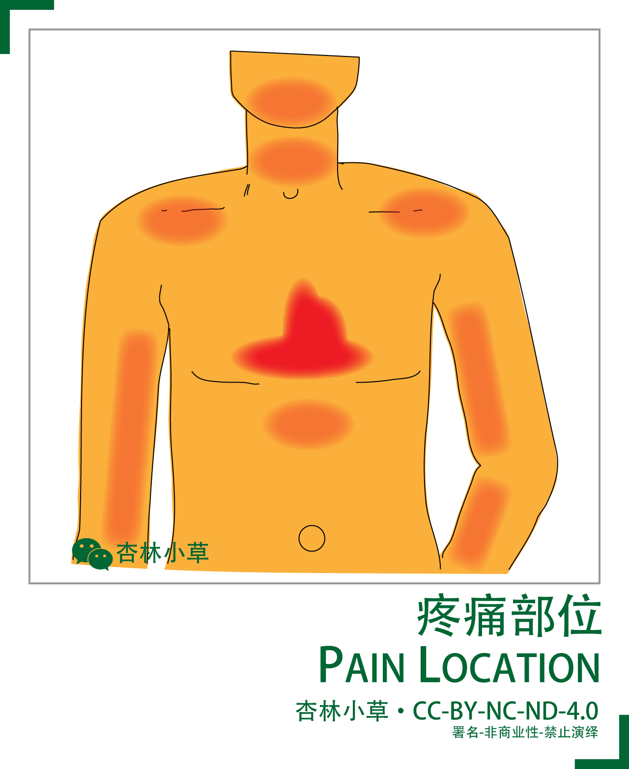 心前区的准确位置图图片