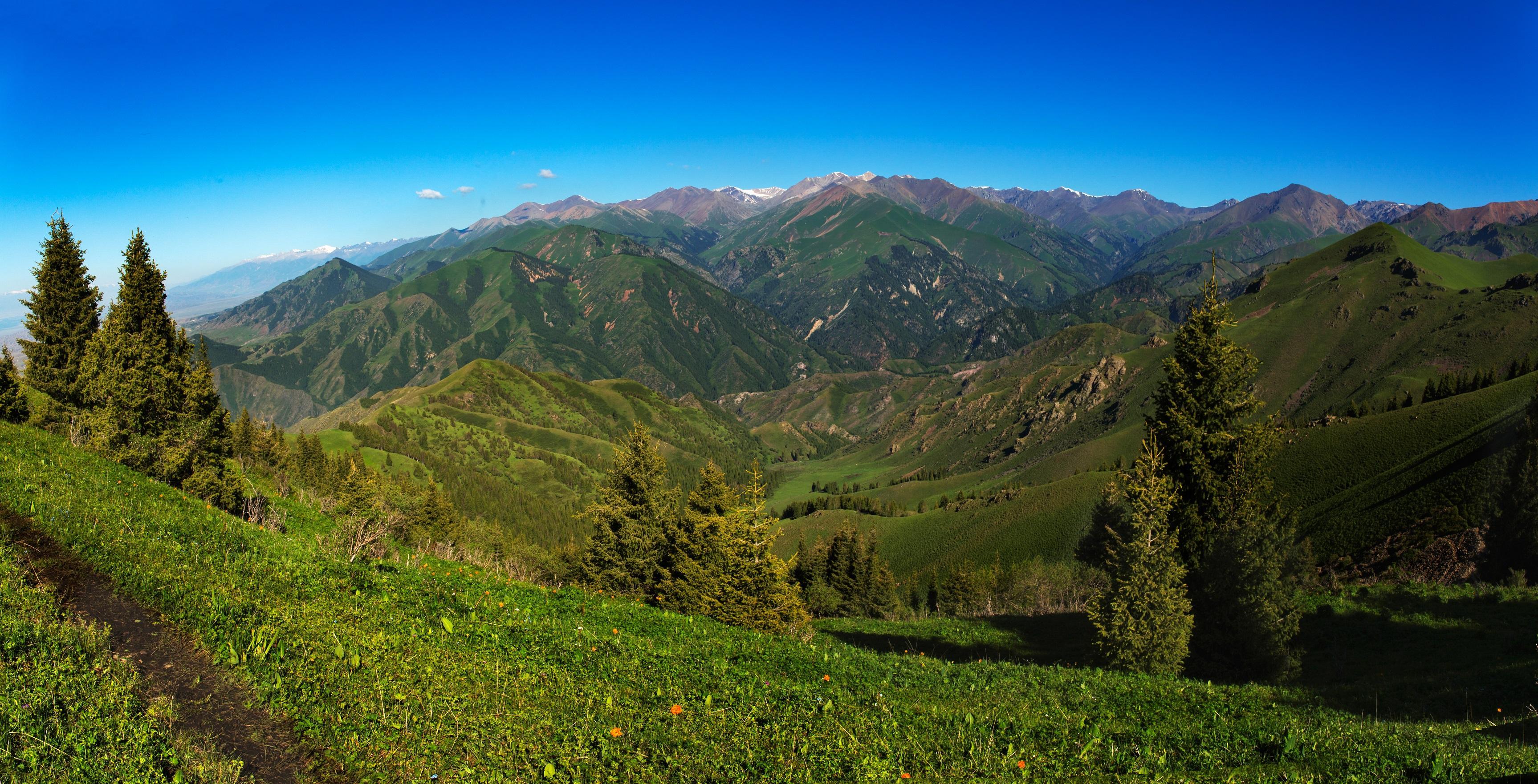 中国最后的净土:2003年回归的夏尔西里