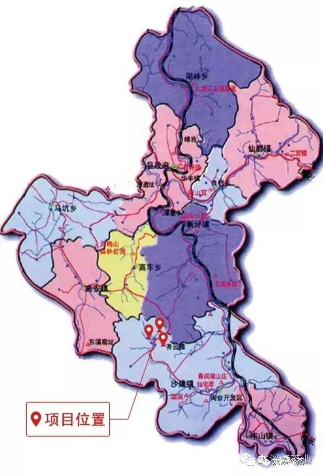 从茶园到茶杯见证龙溪峰茶叶的诞生