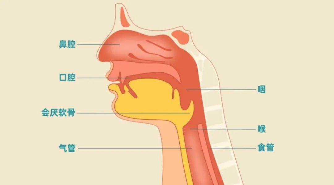 很可能是这种"生之俱来"的能力出问题了!