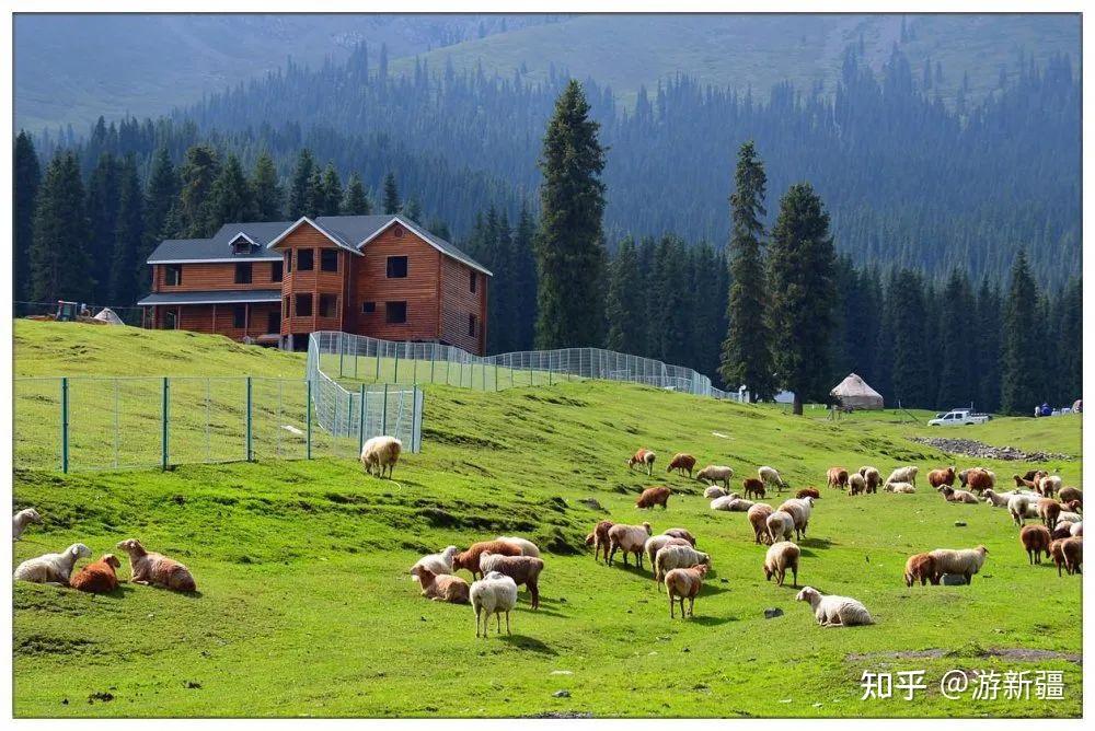 盛夏之时草原地阔天长,百花齐放毡房与炊烟点缀在侧雪山与蓝天渲染