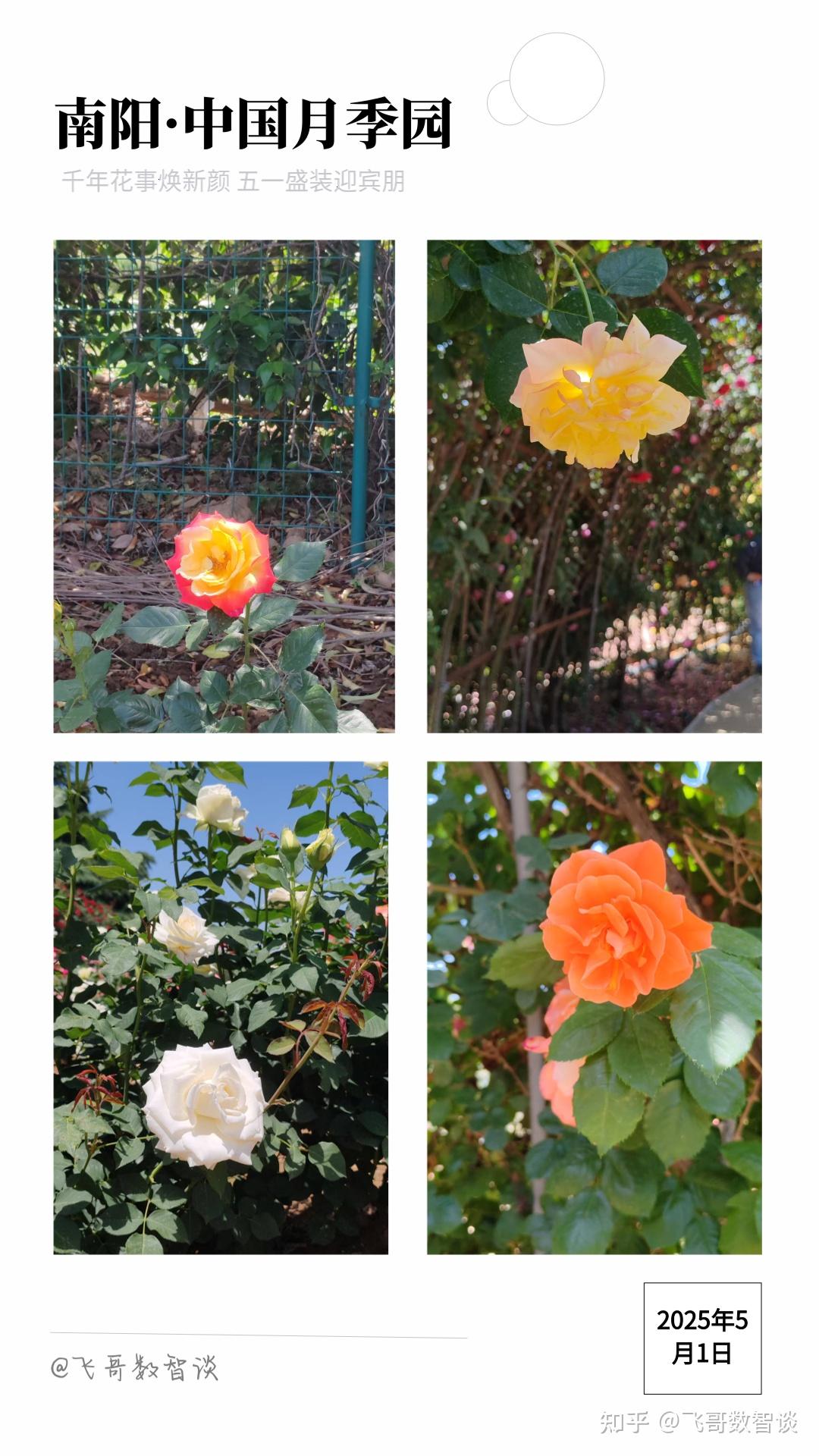 字节跳动正式推出「Coze 扣子 」AI Bot 开发平台,该平台有何作用?