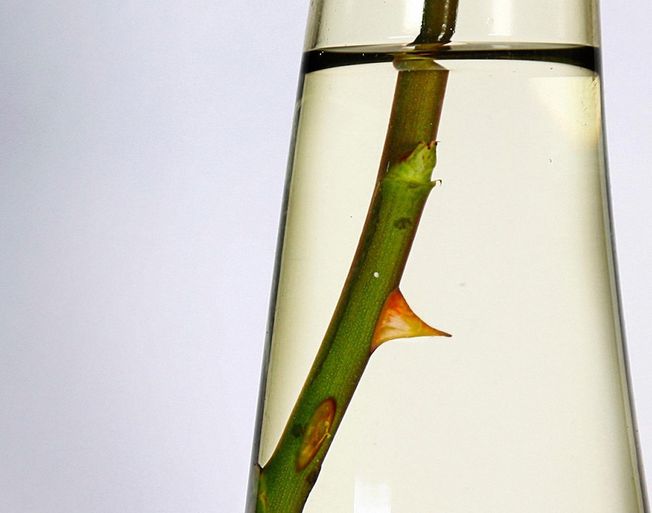 花瓶三角插怎么折