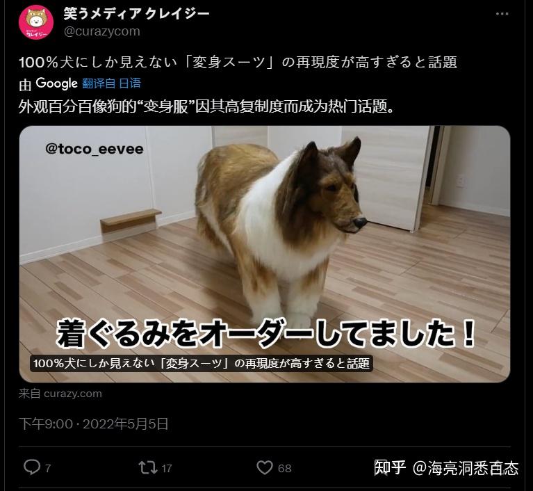 日本男子“TOCO桑”花两百万变成了一条狗,现在打算找母狗交友 - 知乎