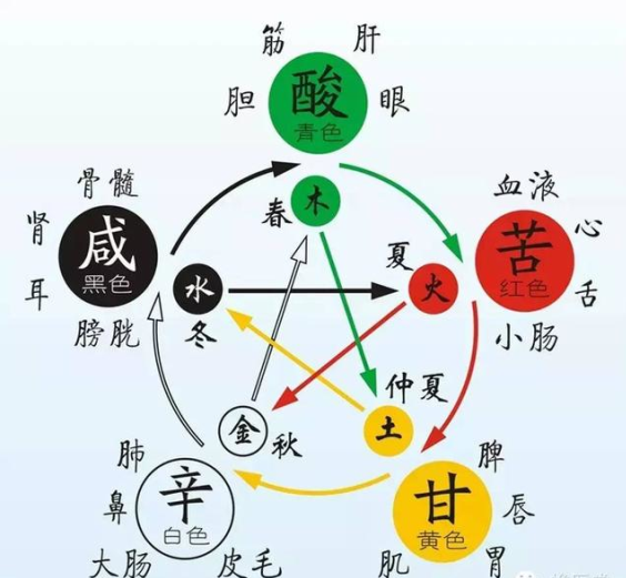 五脏与五行的关系 - 知乎