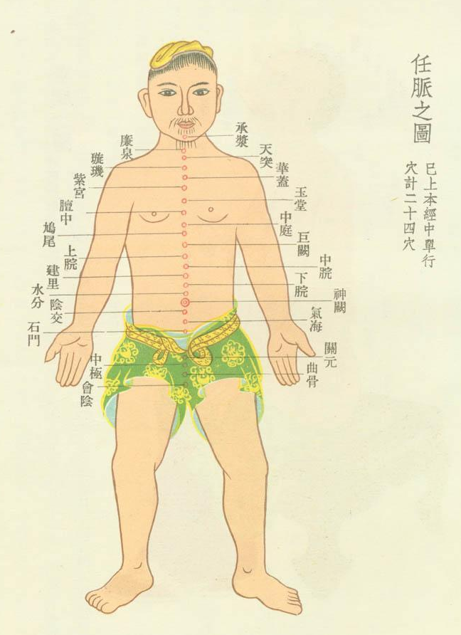 中医精美3D经络图,任脉,大河养生古法八段锦必备 - 知乎