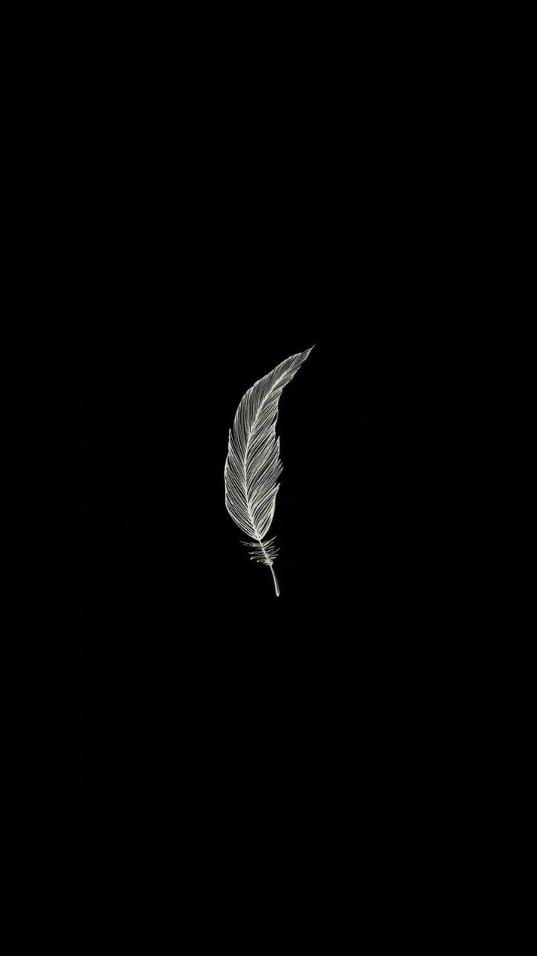 v2-3f7d8233b7ef7cb8c0d51785fa2177b8_r.jpg