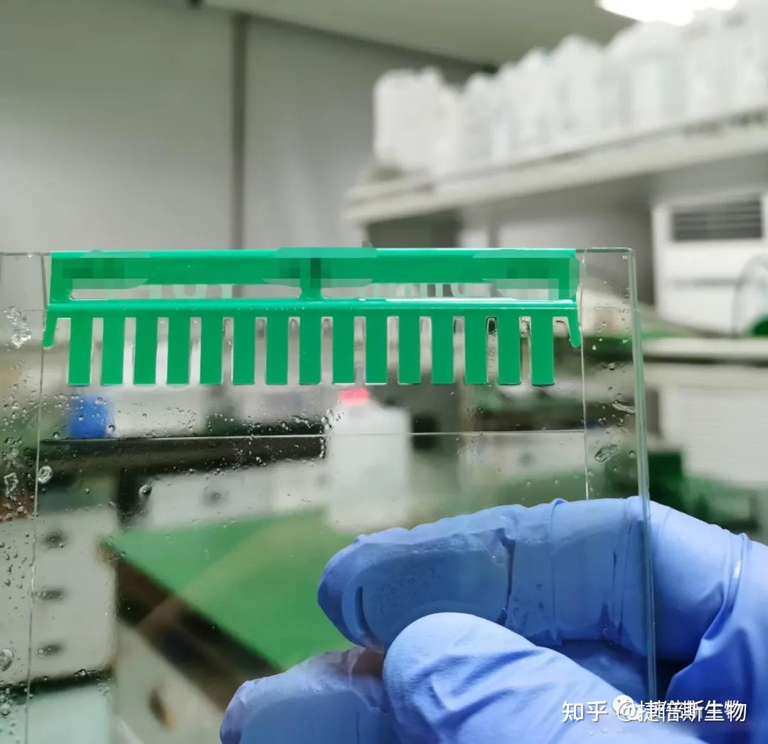 WB制胶技巧及常见问题（附解决方法） - 知乎