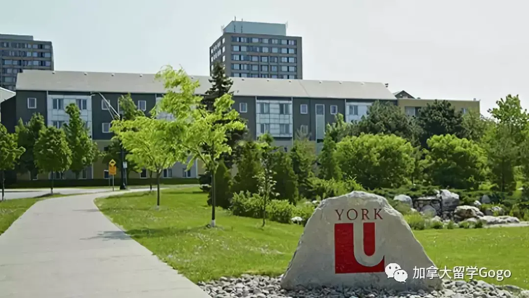 好消息加拿大约克大学舒立克商学院推出41本硕连读项目