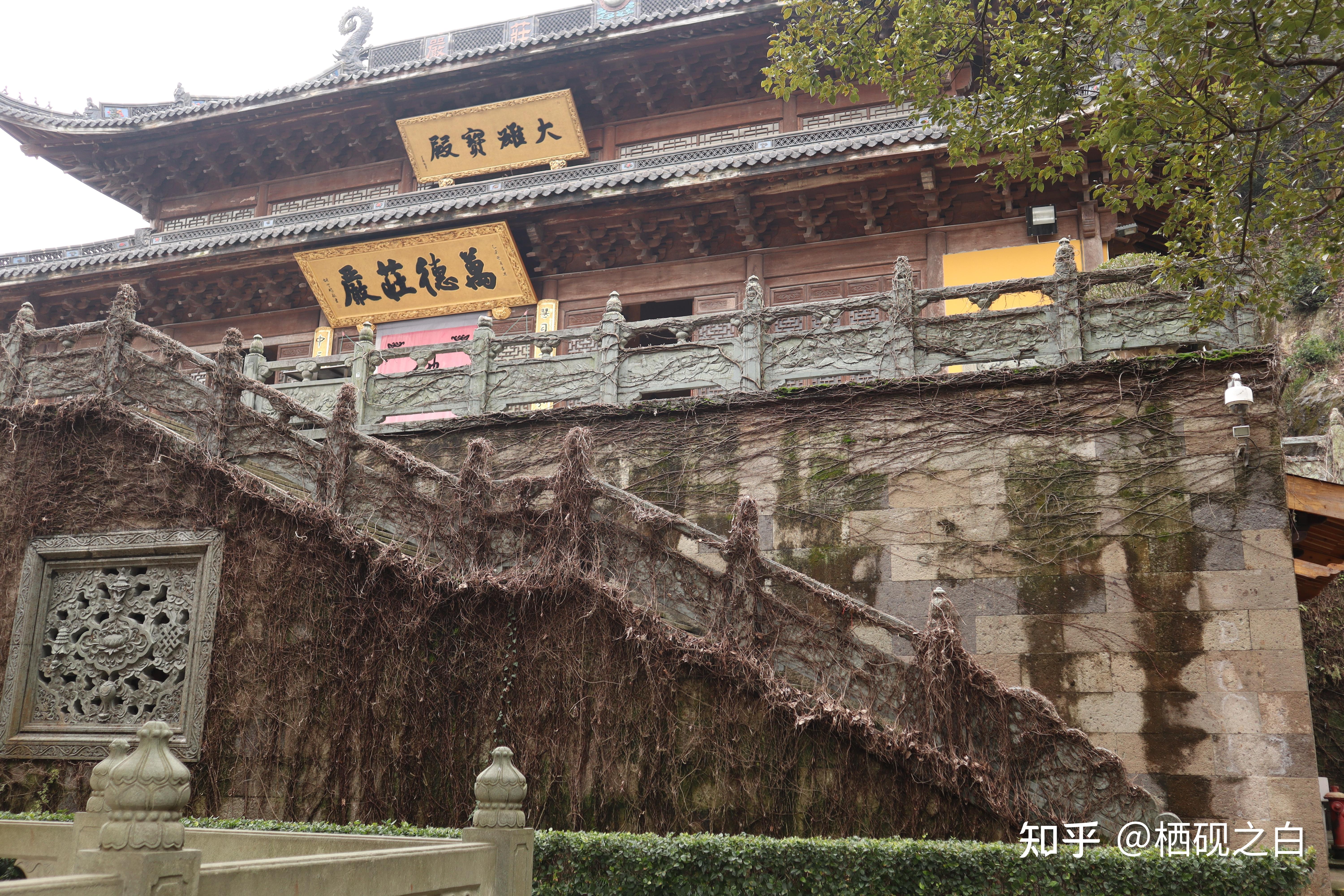 杭州法净禅寺图片