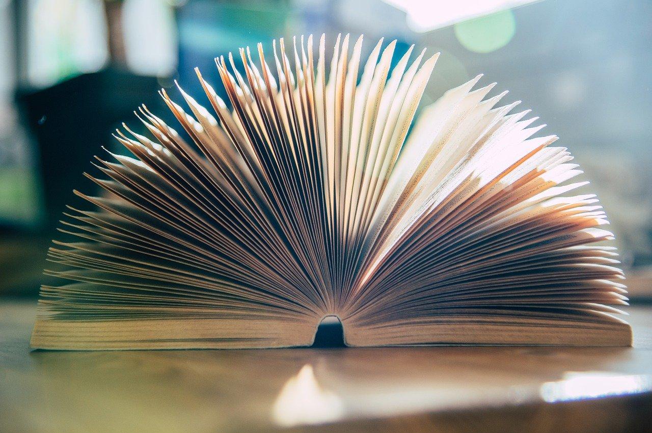 如何用棕榈叶编织