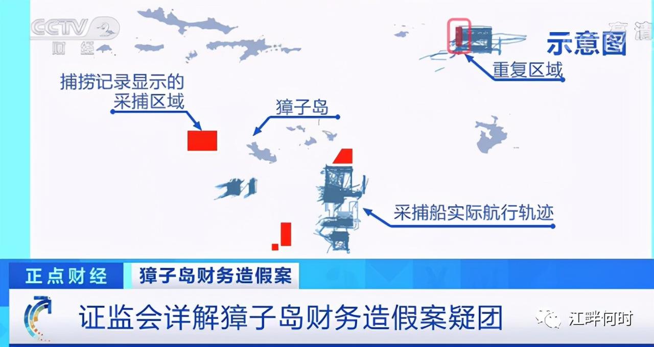 獐子岛舞弊案例四舞弊手法
