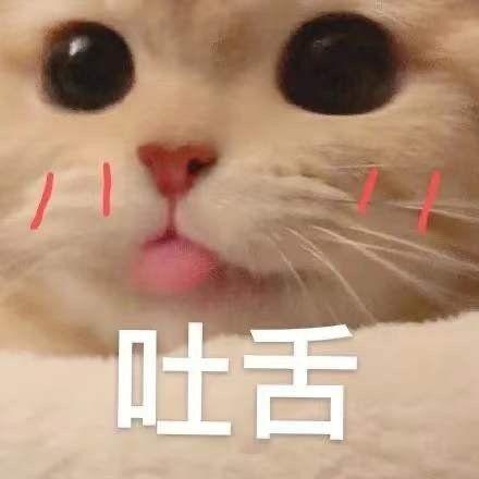 超级可爱的猫咪表情包 萌萌哒 400 张 知乎