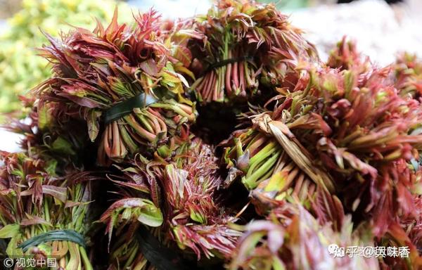 香椿芽：营养丰富的春季美食 (香椿芽营养价值及功效与作用)