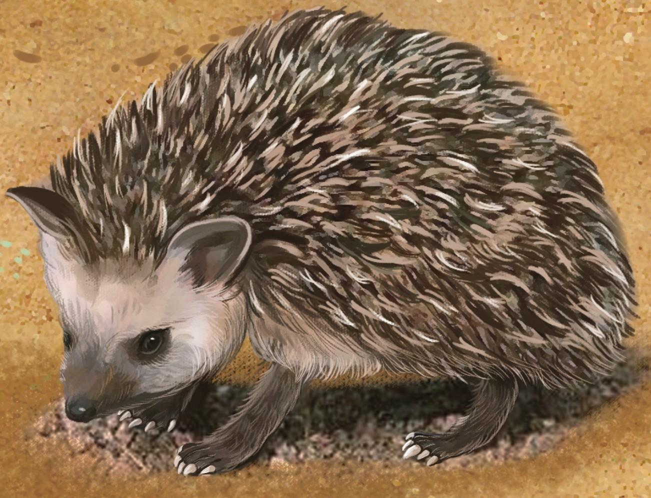 食虫目动物【真兽亚纲】 - 世界动物大百科 - 知乎书店