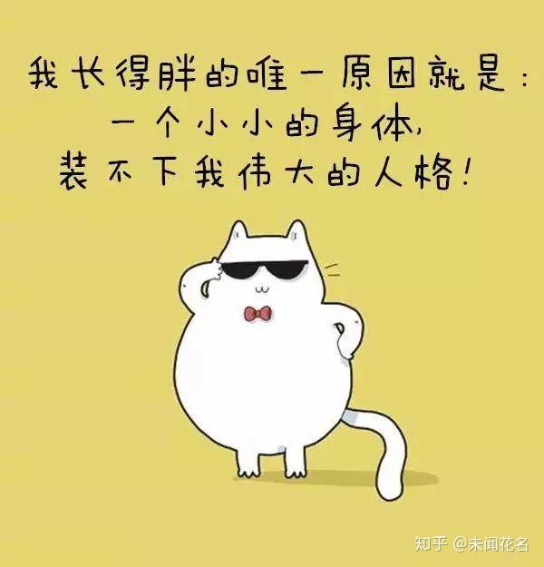 有哪些轻松幽默而又不低俗的段子或图片?