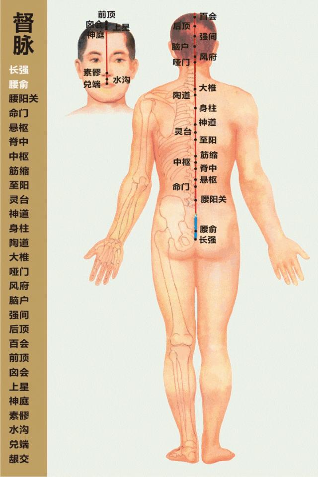 v2-3fe1ae54a9d65627cc47df8ca6cc6e5c_r.jpg