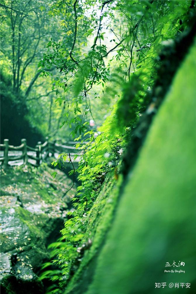 梵净山升仙之山,超越时空的净地,世间难得的一方净土-仙气飘飘的梵净山叫什么