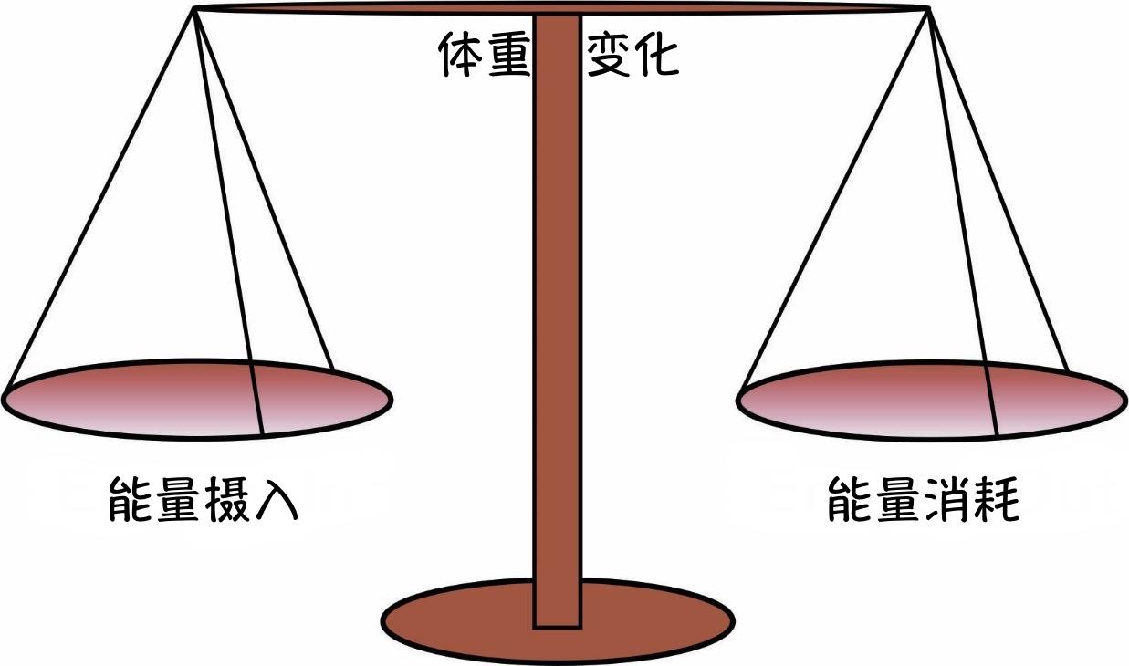 能量平衡包括能量摄入,能量消耗和能量储存这3个部件,而能量平衡的