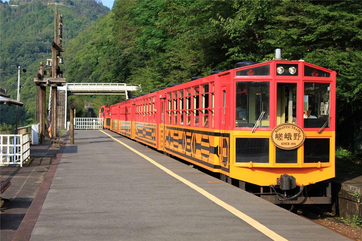 樱花季想去乘坐岚山小火车有没有什么好的建议