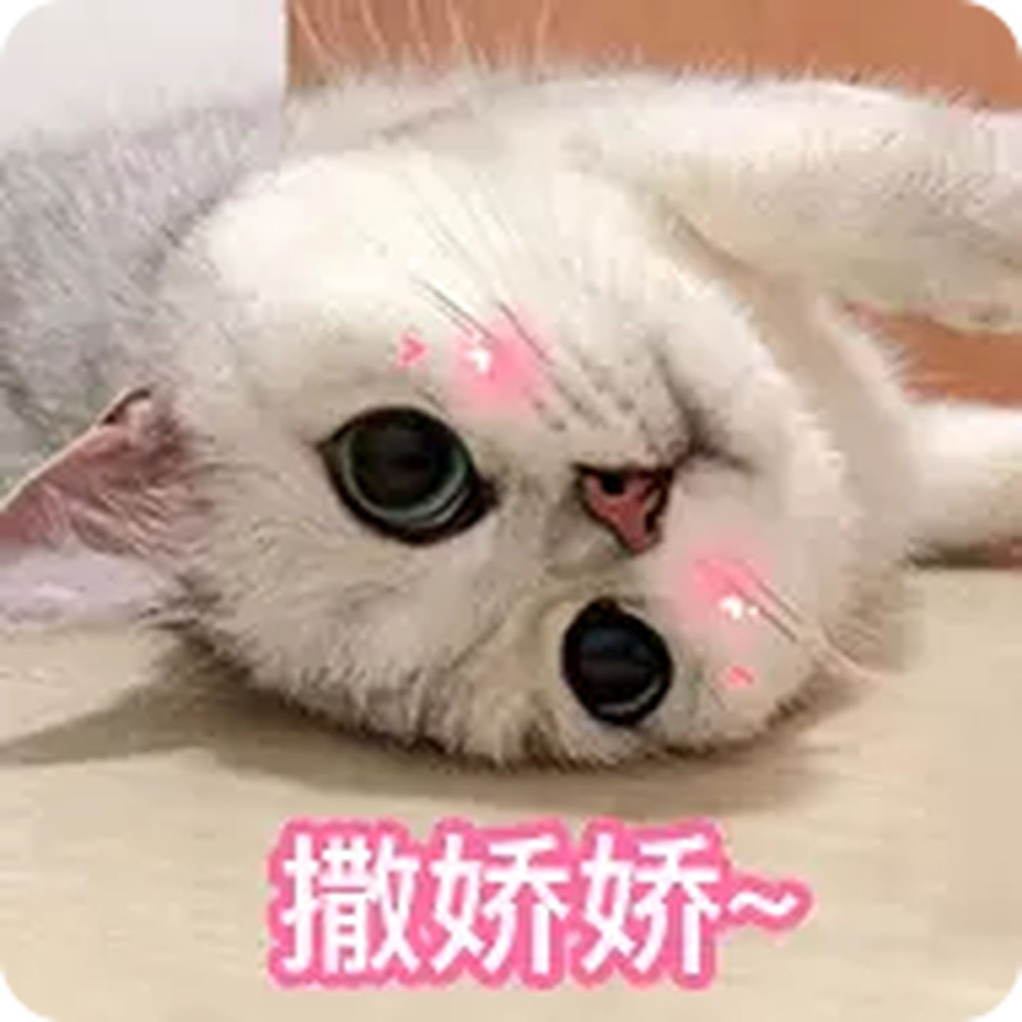 有没有那种可爱且撩人的表情包? - 知乎